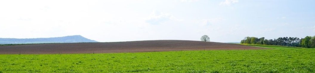 Bild zeigt Landschaft mit Wiese und Himmel