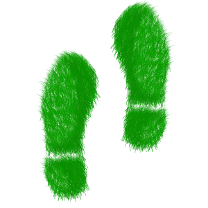 Bild zeigt grüne Fußstapfen